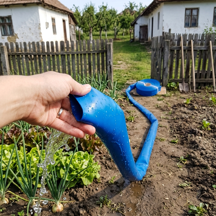 Poză de la Elena R.