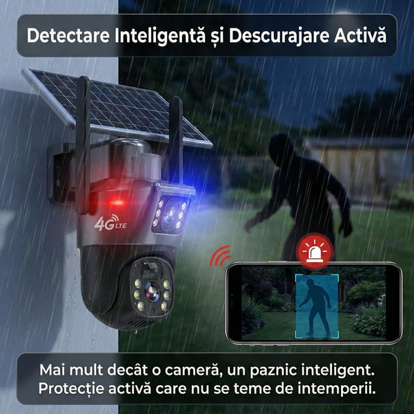 Descriere Imagine 3